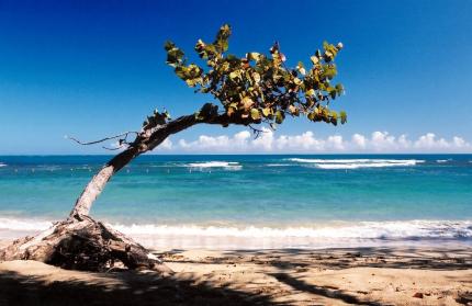 Puerto Plata
